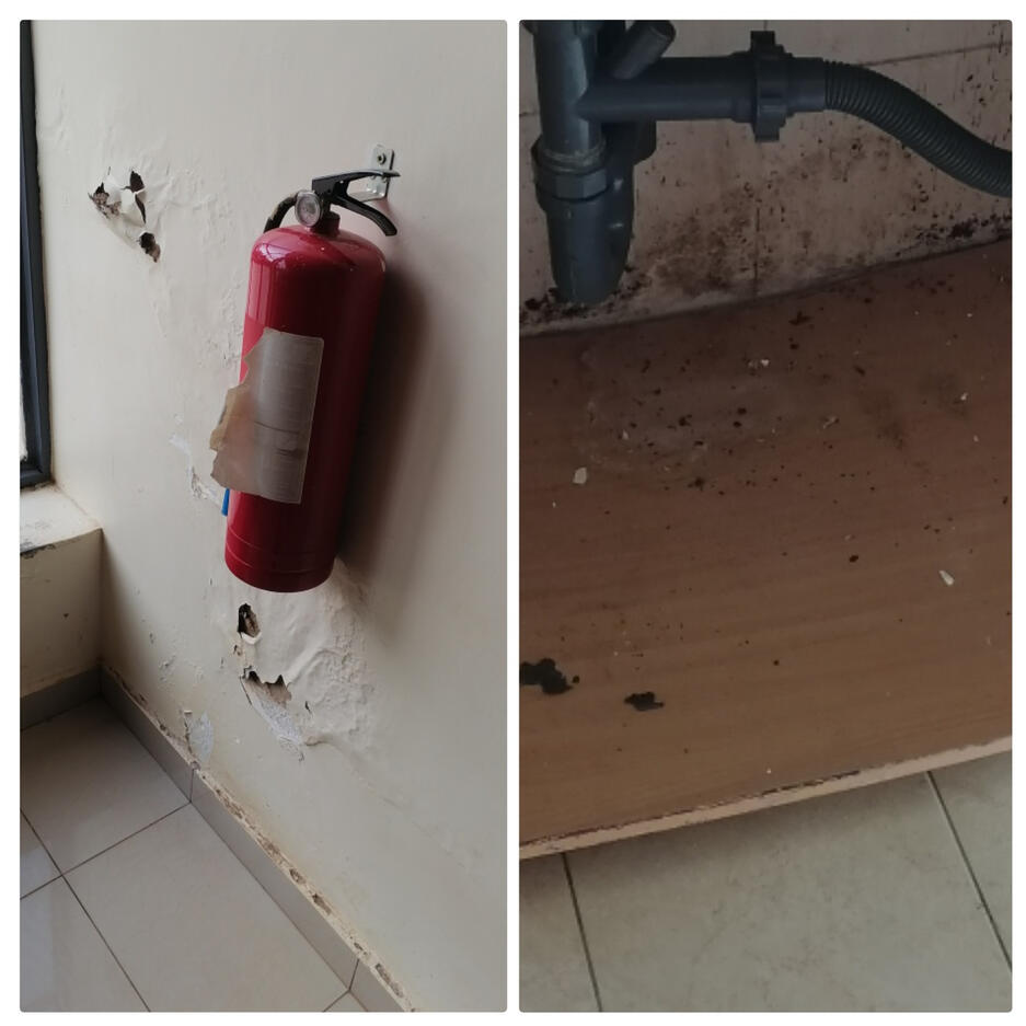 this is the true example of a failed plumbing installation. behind this wall was a bathtub that had a leaking pipe which caused