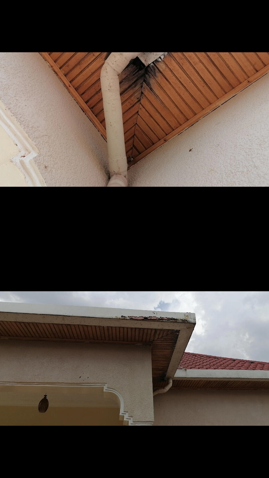 this is the true example of a failed plumbing installation. behind this wall was a bathtub that had a leaking pipe which caused